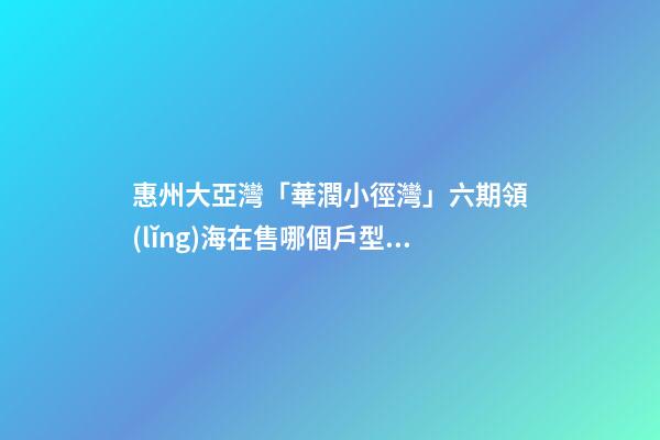 惠州大亞灣「華潤小徑灣」六期領(lǐng)海在售哪個戶型 戶型圖房價